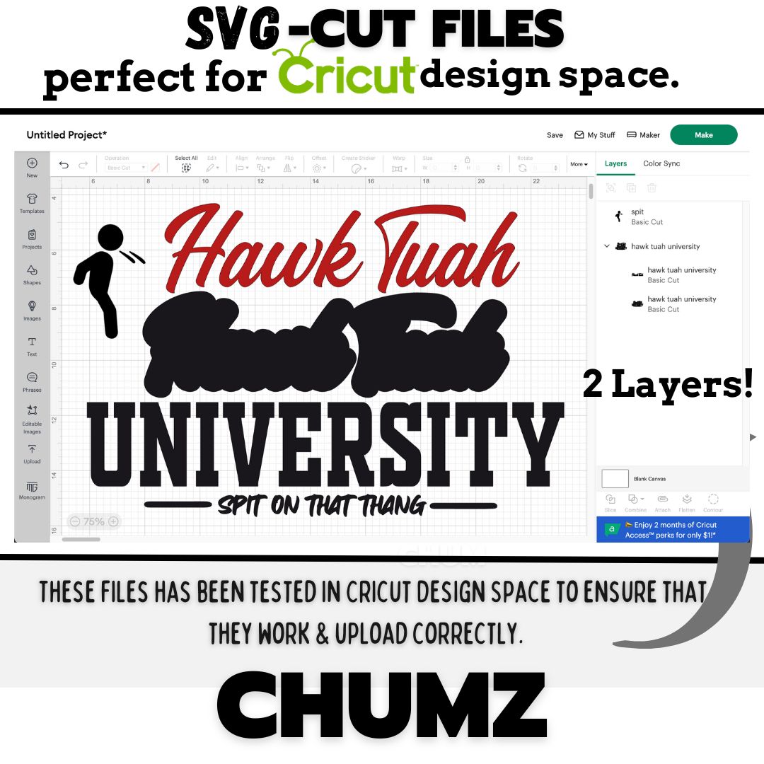 Hawk Tuah University SVG- cut file